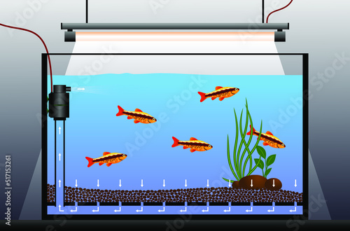 Equipment for an aquarium with fish. 
Schematic diagram of an aquarium with a under gravel fish tank bottom filtration. Aquarium filter vector illustration.
