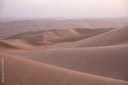 Quintessential desert landscape during sunrise hours.