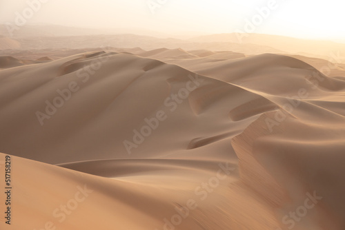 Quintessential desert landscape during sunrise hours.