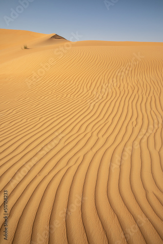 Quintessential desert landscape during sunrise hours.