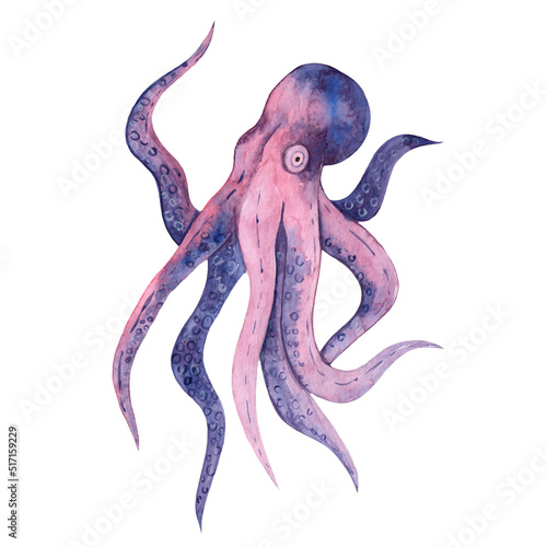 Watercolor hand drawing purple octopus isolated on white background. Marine life. Animals of the underwater world. Ocean and sea. Giant cephalopod.