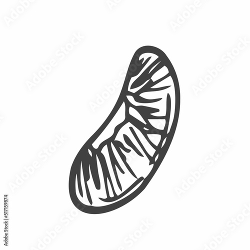 Single element hand drawn lemon slice icon. Vector illustration of doodles for cafes and restaurants, cute postcards and culinary design.