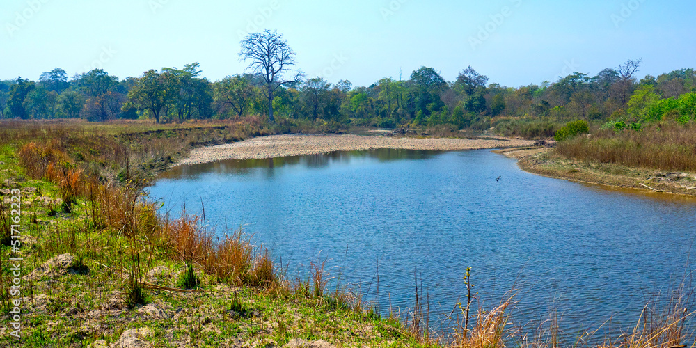 Riverine Forest, Wetlands, Royal Bardia National Park, Bardiya National Park, Nepal, Asia