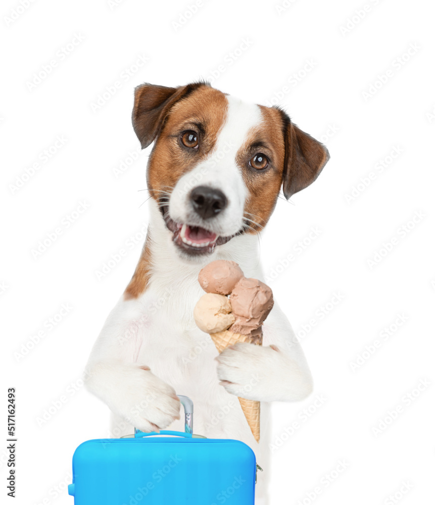 Happy Jack russell terrier puppy holds suitcase and ice cream. Isolated on white background