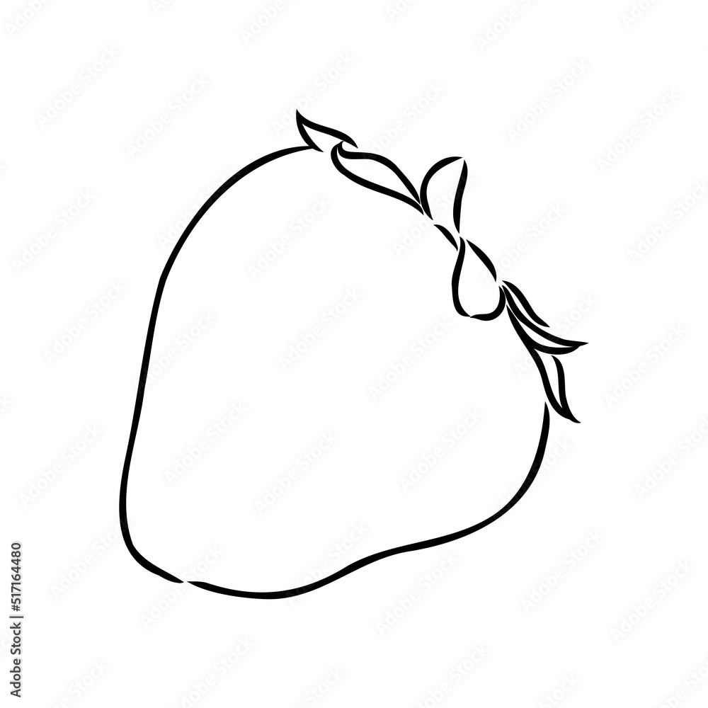 Strawberry hand drawn vector illustration. Sketch style drawing isolated on white background with leaf. Organic vegetarian object for menu, label, recipe, product packaging Strawberry hand drawn vector illustration. Sketch style drawing isolated on white background with leaf. Organic vegetarian object for menu, label, recipe, product packaging