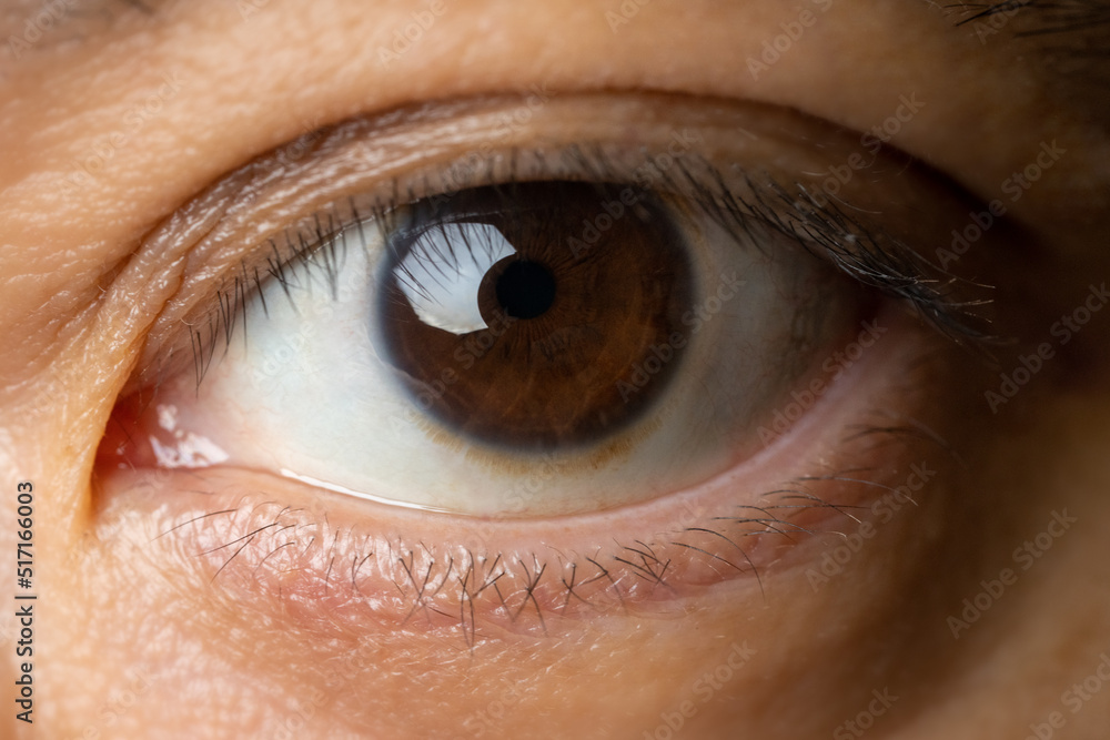 Fototapeta premium 目のアップ