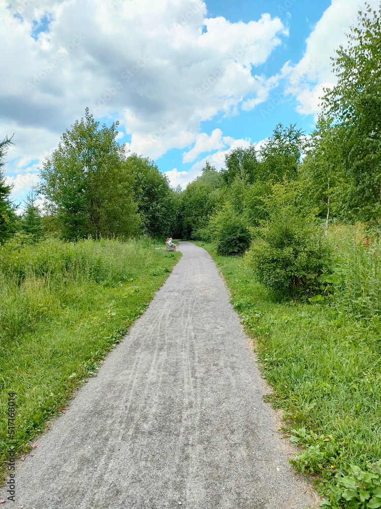 Walking path in the park and forest park Walking path in the park and forest park