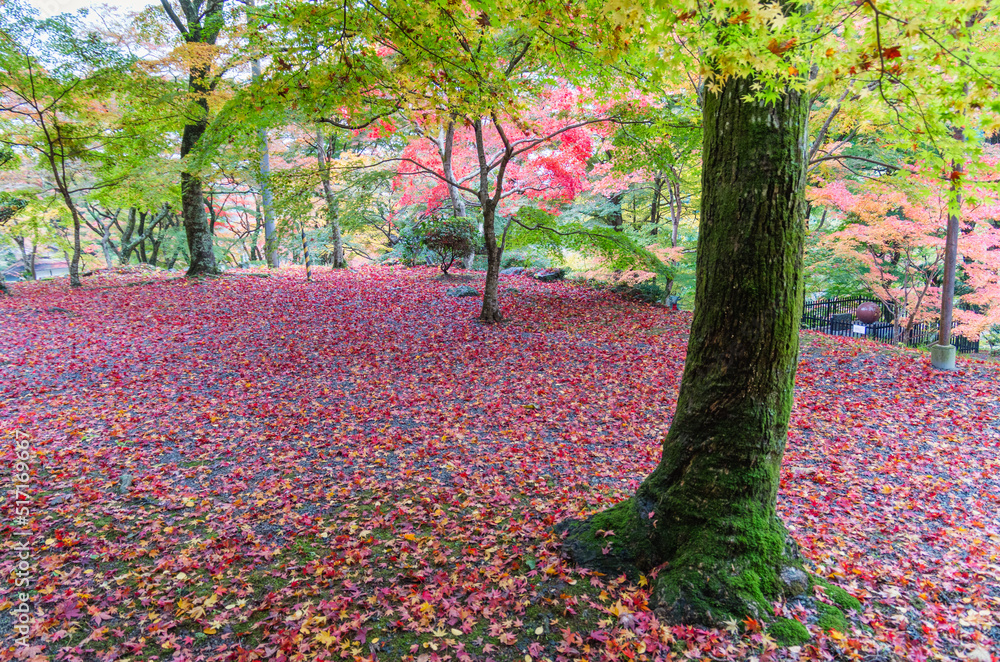 大威徳寺(大阪府岸和田市)の紅葉