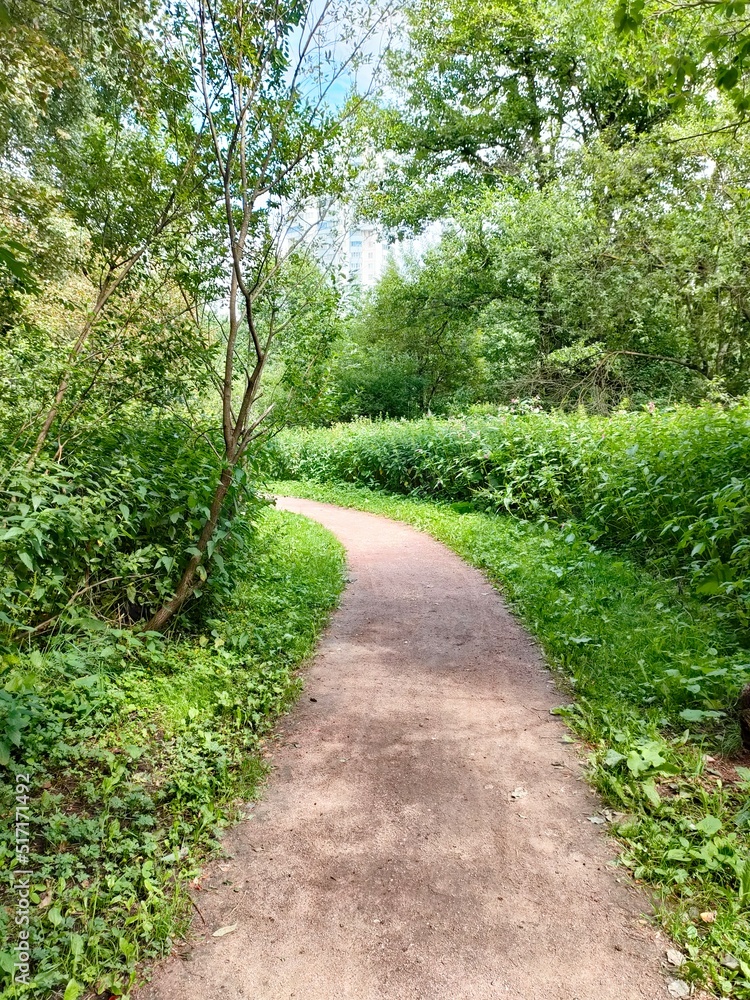 Road for outdoor walks in the park and forest park Road for outdoor walks in the park and forest park