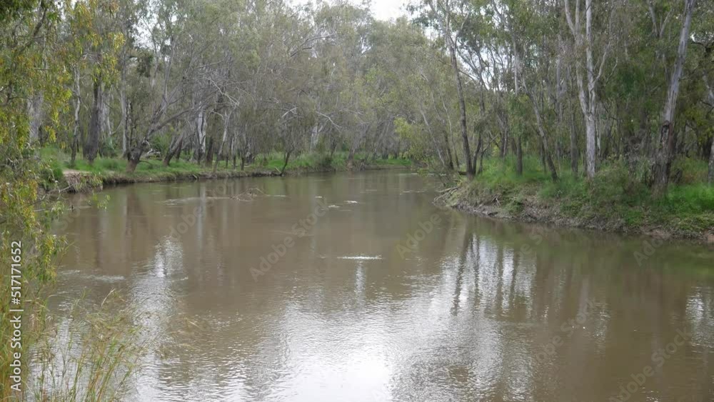 Looking upstream on the Ovens River near Peechelba near where it enters the Murray River in north-east Victoria, Australia November 2021 Looking upstream on the Ovens River near Peechelba near where it enters the Murray River in north-east Victoria, Australia November 2021