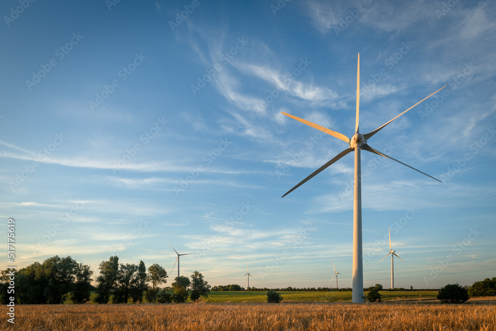 Windfarm Turbines