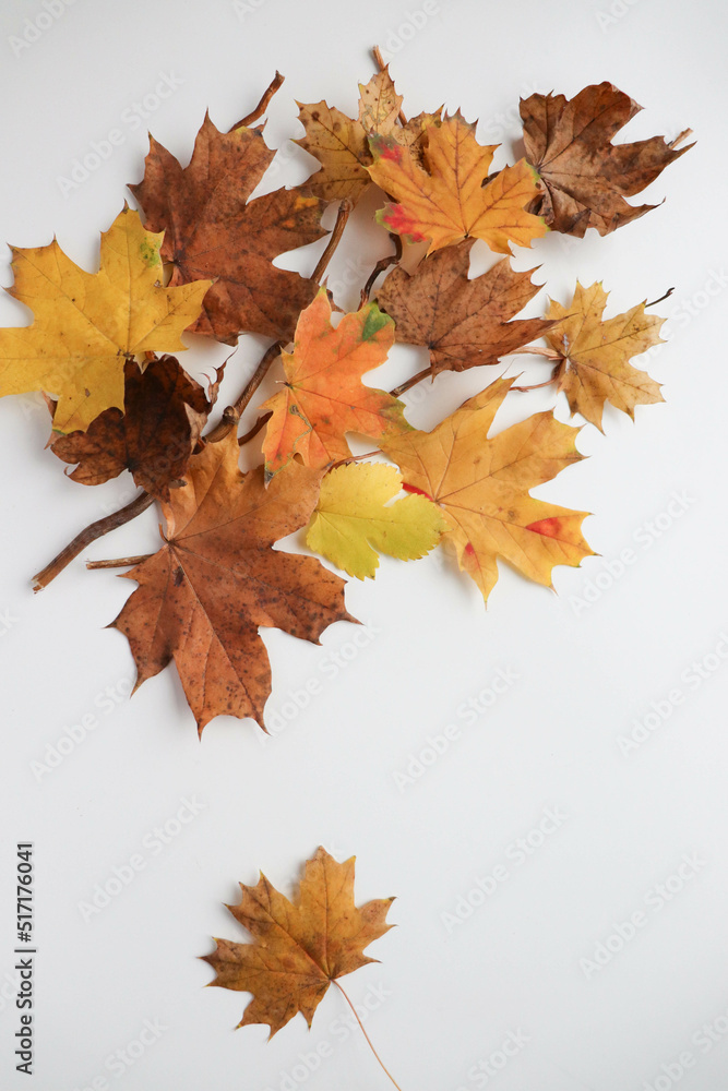 greeting card design. autumn composition of their dry leaves and flowers greeting card design. autumn composition of their dry leaves and flowers