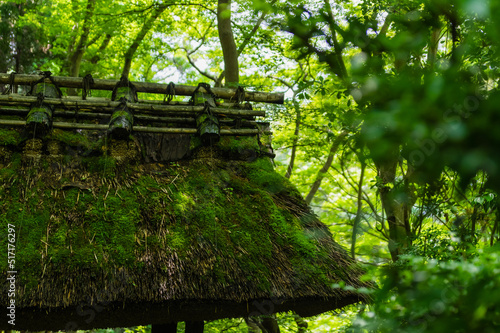 Obraz na płótnie 苔むす祇王寺(京都府右京区) w salonie