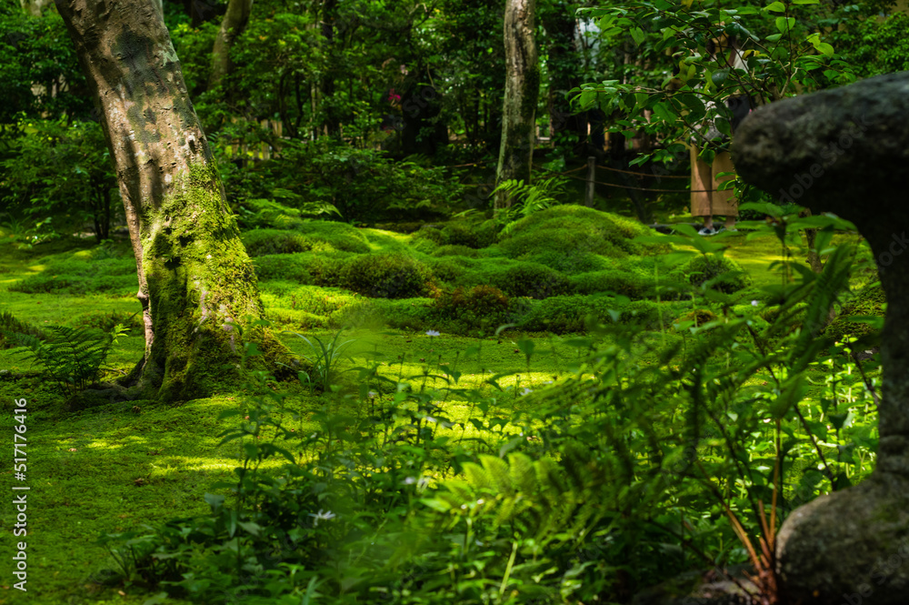 苔むす祇王寺(京都府右京区) 苔むす祇王寺(京都府右京区)