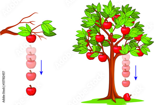 Gravity, falling apple. Isaac newton idea universal law, fall red apple tree down. Step down stages, timeline. Weight and mass experiment. Inertia, motion. Depict illustration vector
