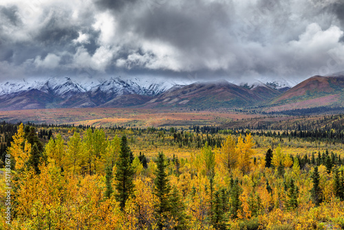Alpine mountain landscape in autumn colorsm Denali National Park Alaska