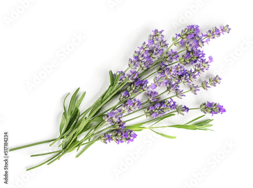 Fototapeta Naklejka Na Ścianę i Meble -  Fresh Lavender flowers bundle on a white