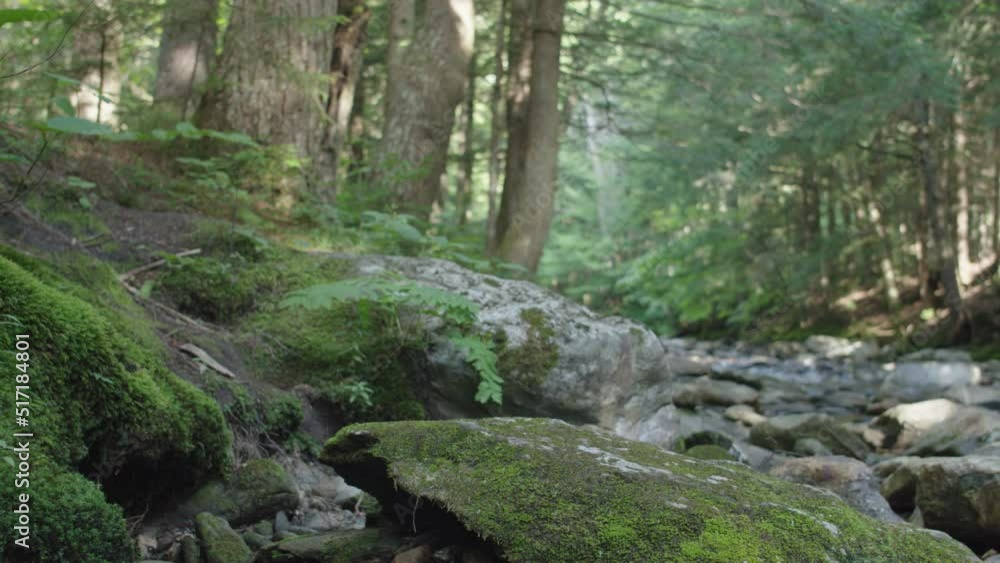Mossy rocks along mountain brook with pan right 3 Mossy rocks along mountain brook with pan right 3