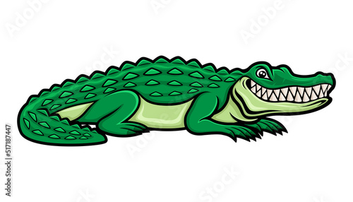 Crocodile alligator smiling isolated on white background.