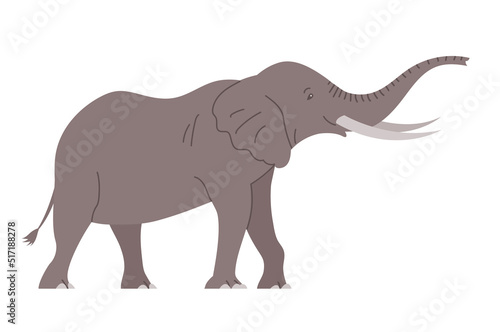 African elephant with tusks. Savannah wild animal. Large herbivorous mammal. Flat vector illustration isolated on white background