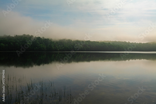 Reflection on water in foggy morning New Jersey Botanical Garden, Sheppard Lake. High-quality photo