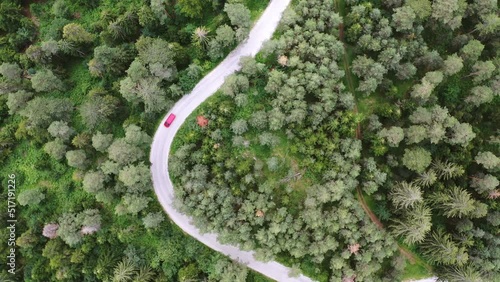 Wallpaper Mural Aerial top view of winding road through the green pine forest Torontodigital.ca