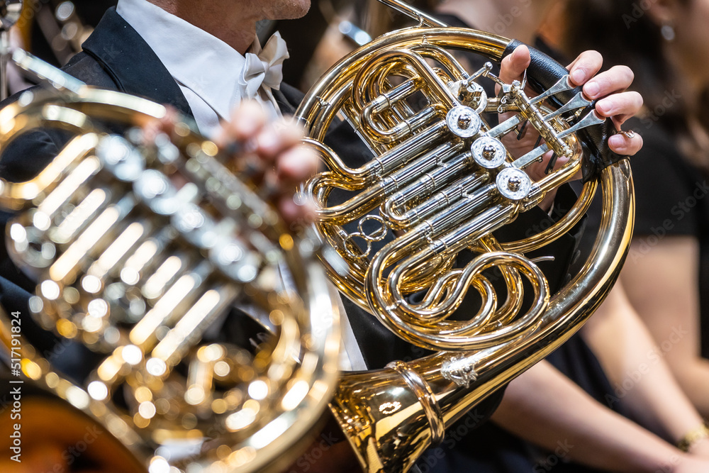 Fototapeta premium Philharmonic orchestra playing on the french horn, performance concert, classical music concept