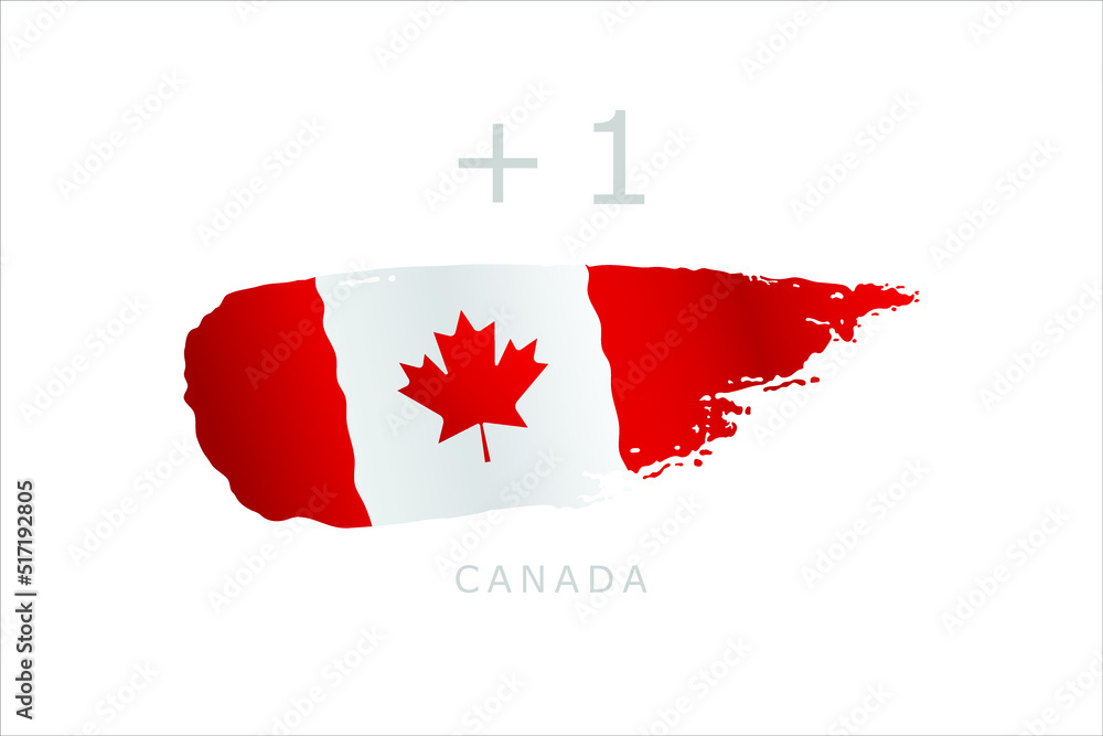 Unique brush style grunge flag of Canada with code area