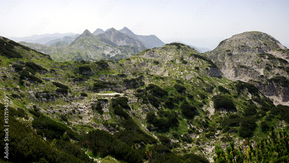 Julian Alps Subalpine World on Bogatinsko Saddle