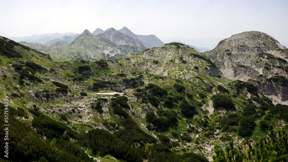Julian Alps Subalpine World on Bogatinsko Saddle Julian Alps Subalpine World on Bogatinsko Saddle