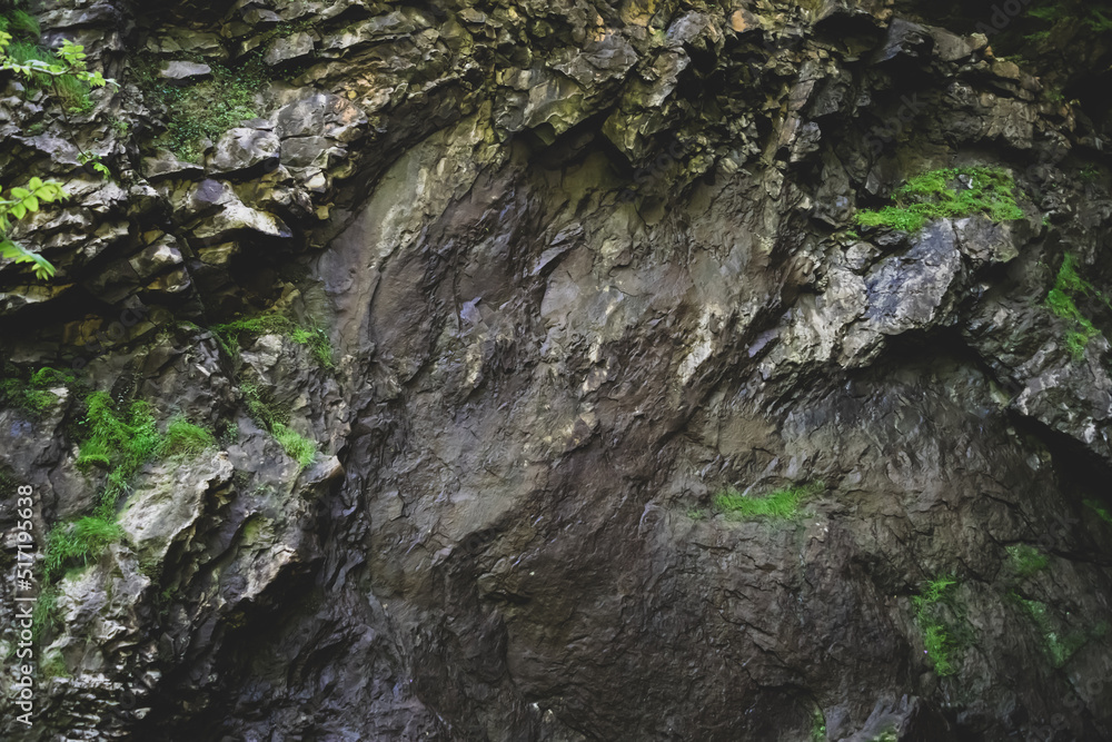 moss on the rock moss on the rock