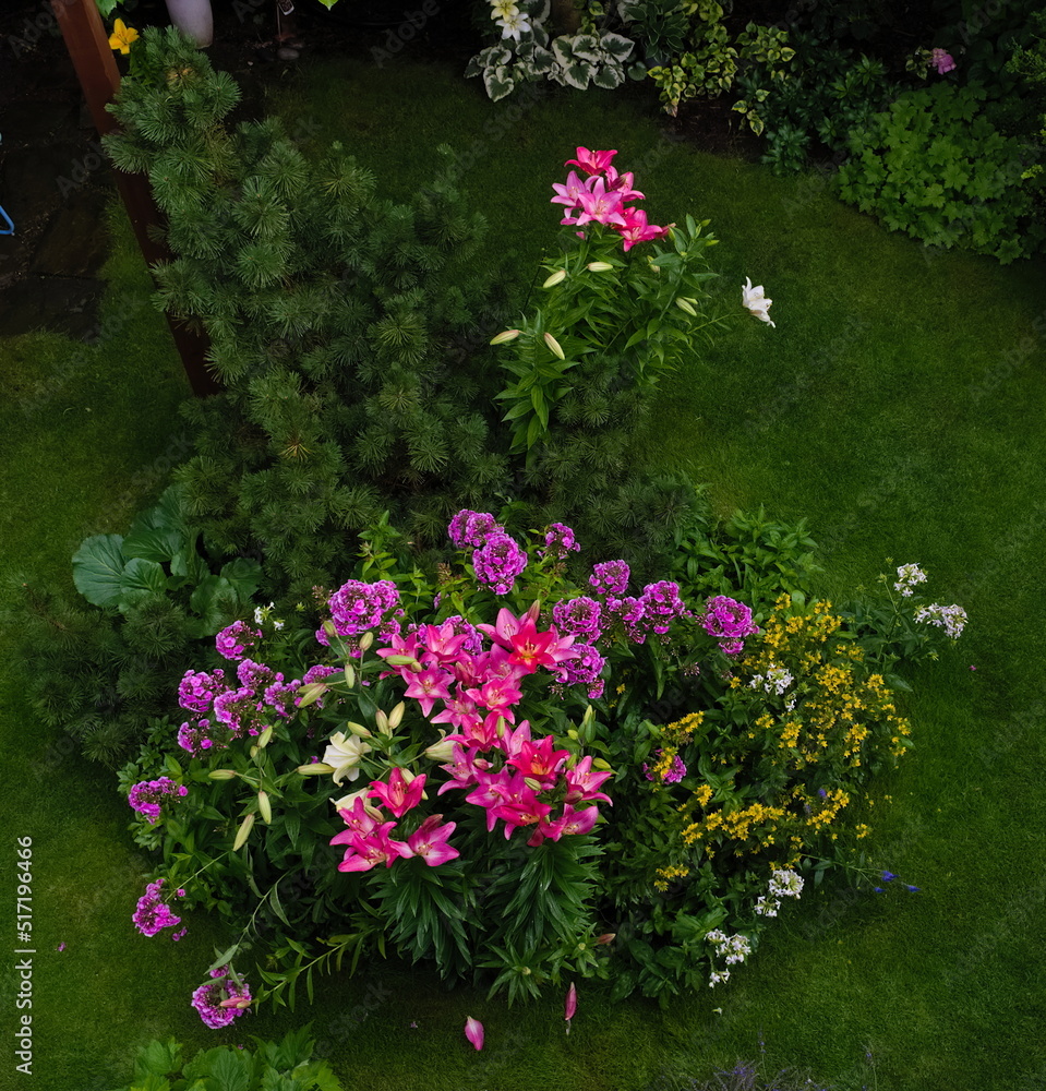 Garden with many flowers from a bird's eye view Garden with many flowers from a bird's eye view