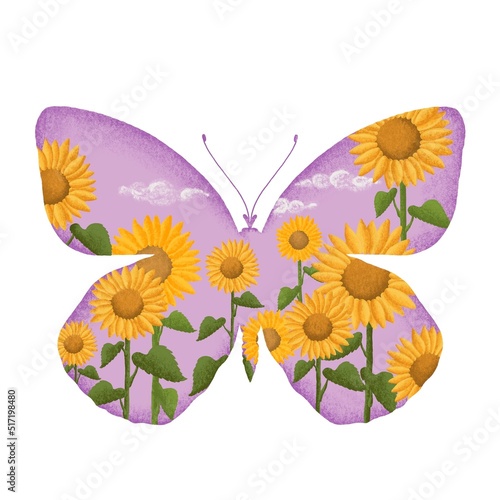 Photography butterfly and flowers