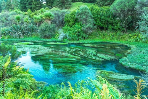 Beautiful landscape of the blue spring Putaruru, North Island, New Zealand