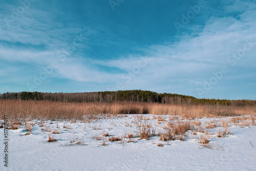 Wallpaper Mural river in winter Torontodigital.ca