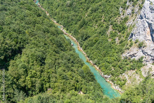 Mountain River Tara Turquoise and Forest on the slopes of the mountains in Montenegro.