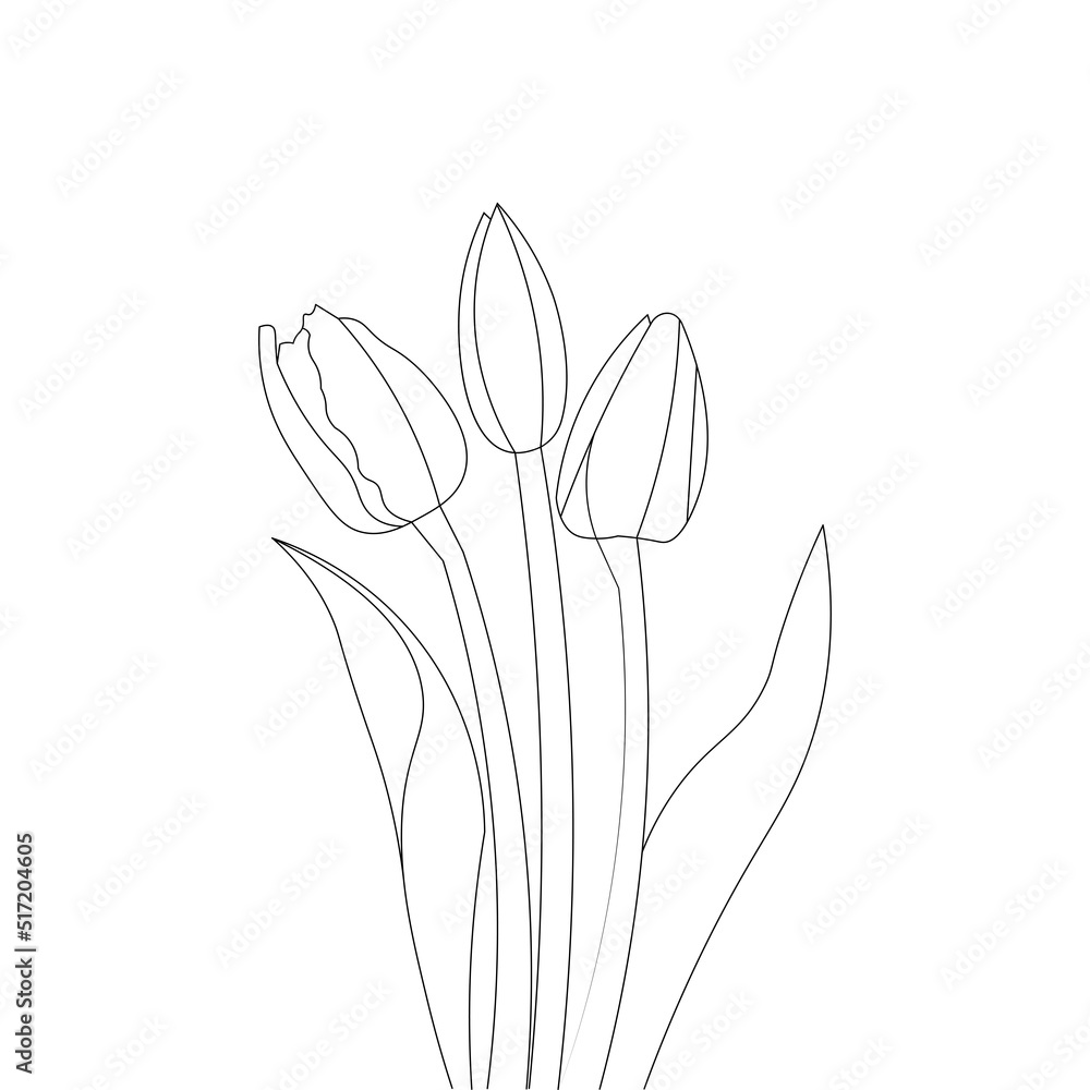 tulip flower line art coloring page for kid drawing of black stroke ...