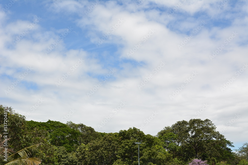Blue Sky Cloud Fine Weather Environment
Blue Sky Cloud Fine Weather Environment