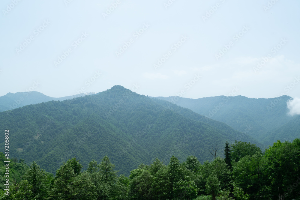 Obraz premium landscape with mountains