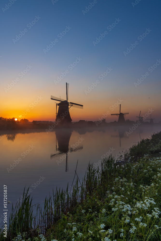 Obraz premium Traditional Dutch windmills with a colourful sky just before sunrise in Kinderdijk, The Netherlands