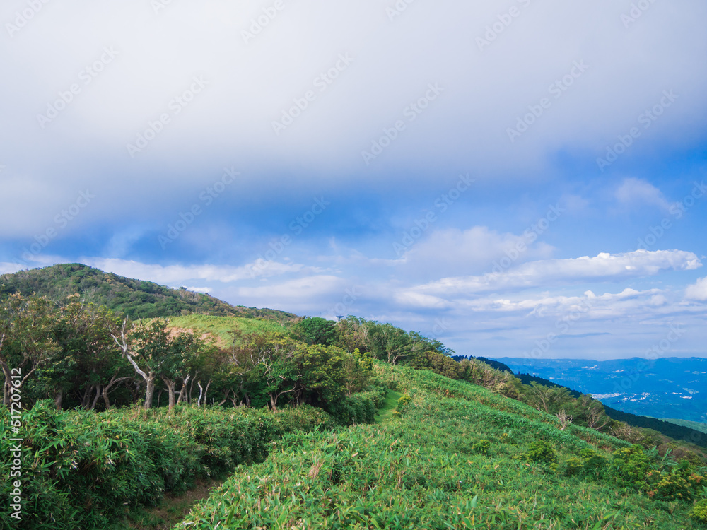 Obraz premium 夏の伊豆山稜線歩道の風景