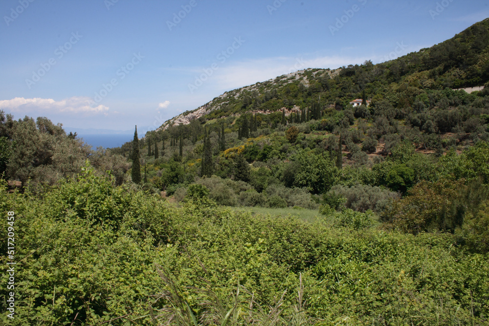 Samos - Griechenland/ Samos - Greece /