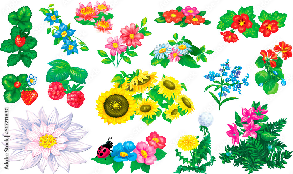 Obraz premium Flowers, illustration set