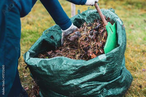 Raking leaves and tossing them into a bin. The concept of tidying up the garden, getting ready for the gardening season.