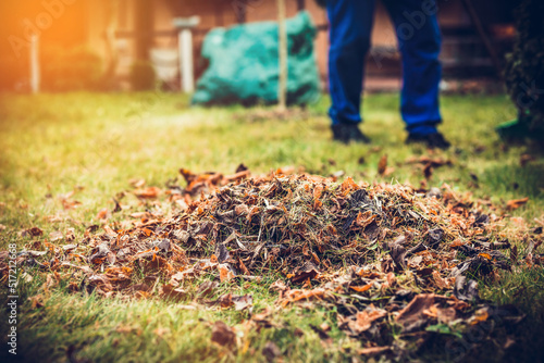 Wallpaper Mural Raking leaves. The man is raking leaves with a rake. The concept of preparing the garden for winter, spring. Taking care of the garden. Torontodigital.ca