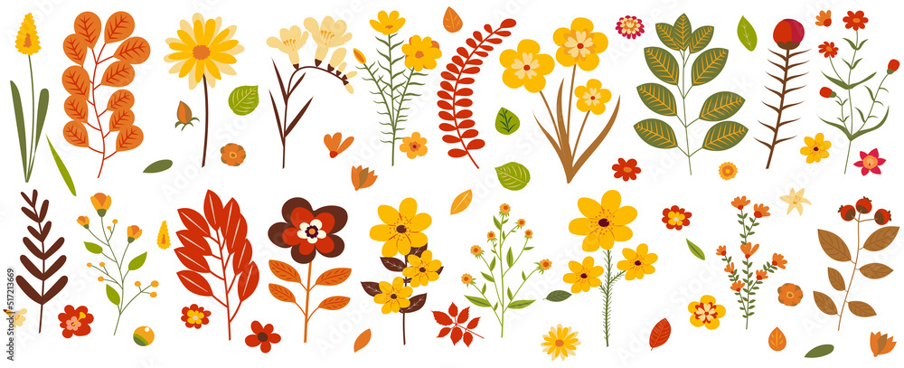plants, flowers in flat style, isolated, vector