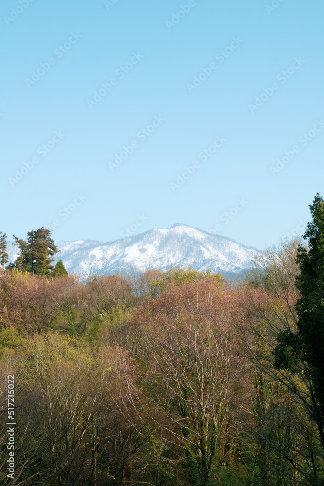 Fototapeta premium autumn in the mountains
