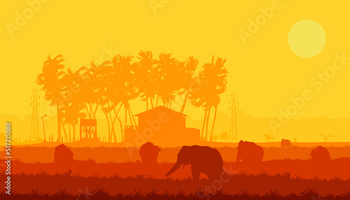 Minimal wallpaper of village with elephant attack. There are paddy field  house  coconut trees and electric posts. Wild elephant attack to the village early in the morning.  