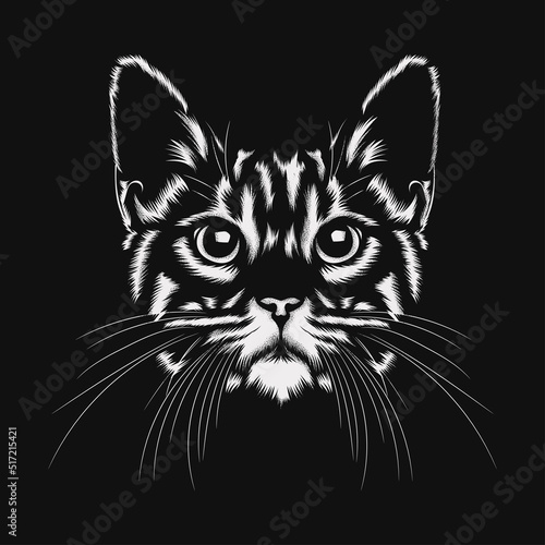 Hand drawn portrait of cat. Vector illustration