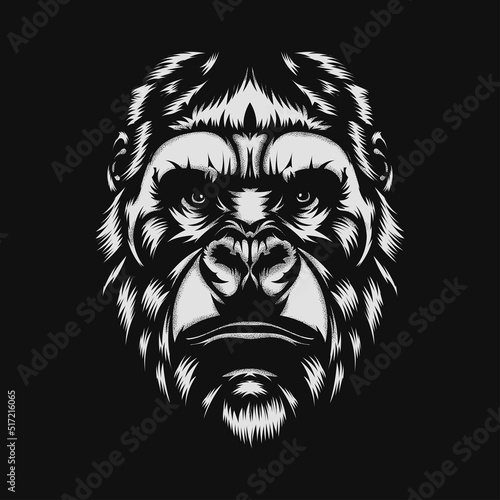 gorilla vector art sketch face. vector illustration